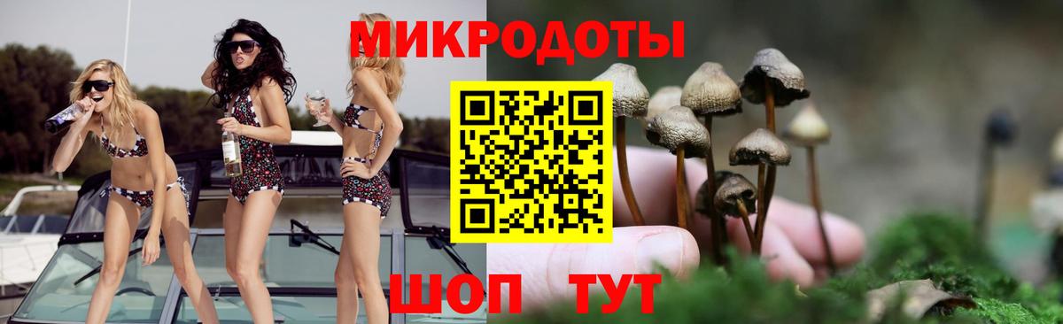 Псилоцибиновые грибы Psilocybe Верхняя Пышма
